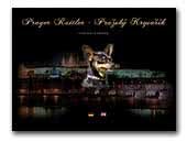 Prager Rattler von Kahlgrund