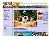 Kennel Prima Miyan FCI - Chow Chow, American Bulldog