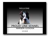Proud Line American Staffordshire Terrier kennel