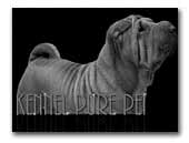 Kennel Pure Pei