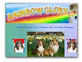 Rainbow Glory Shetland Sheepdogs