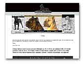 Rarum Virtatis Cane Corso kennel