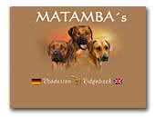Matamba's Spirit of Africa