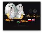 Ricchezza Kennel