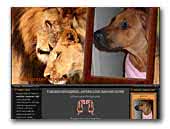 Danary Guardian Guy - Rhodesian Ridgeback