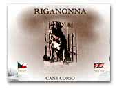 Riganonna Cane Corso Kennel