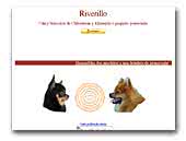 Riverillo Chihuahuas y pomeranias