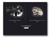 Rock'n Rose Shih-tzu