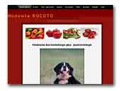 Kennel Rocoto - Bernese Mountain Dog