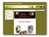 Roki-San Englische Bulldogge