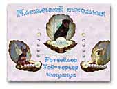 Kennel dogs 'Pearl of Kazan'