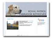 Royal Patrol labrador retriever