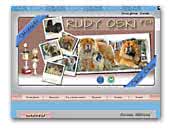 Hodowla chow chow RudyOski FCI