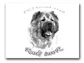 The Ruski Izvor kennel