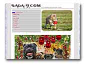 saga-9.com