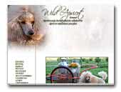 Wild Apricot kennel