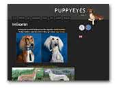 Puppyeyes Saluki
