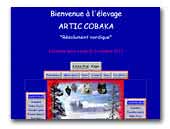 Of Artic Cobaka