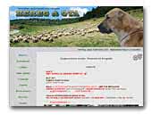 Bereg-Ota kennel Central Asian Shepherd Dogs (Alabai)