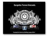 Sargetia Forest Kennels - American Bulldogs
