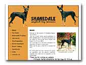 Shanedale English Toy Terriers