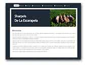 De La Escarapela Shar-Peis