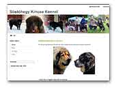 Sóstóhegy Kincse Kennel