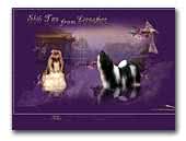 from Lionsthor Shih Tzu Kennel