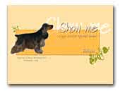 Show Me kennel