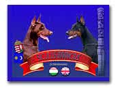 Siculus Invincius Dobermann Kennel