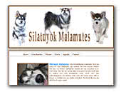 Silatuyok Malamutes