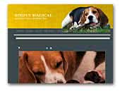 Simply Magical Kennel