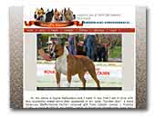 Sistaffs - Amstaff Kennel