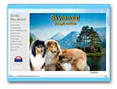 skotski ovcar Skylendal