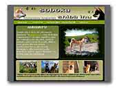 Soboku - Allevamento Amatoriale Shiba Inu