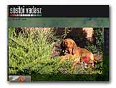 Sóstói Vadász Kennel