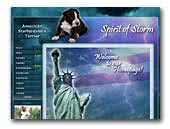 Spirit of Storm American Staffordshire Terrier