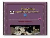 Ganwales English Springer Spaniels