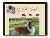 St.Kilda's Shetland Sheepdog Kennel