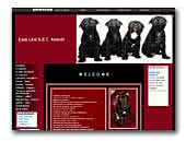 Easy Line staffordshire bullterrier kennel