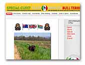 Special Guest Staffordshire Bull Terrier