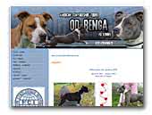 Kennel od Benga - American Staffordshire Terrier