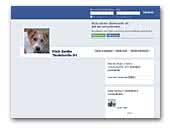 The Arissells - Jack Russell Terrier