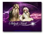 Stilysh - Trick kennel