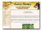 Sunny Monkey