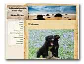 Bellmoria - Spanish Water Dog