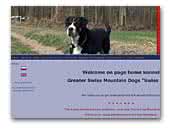'Swiss Gang' - home kennel of GSMD