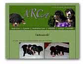 Arca swiss mountain dog