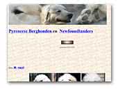 Symfonie van Merode Great Pyrenees and Newfoundlander