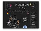 Tefrhe Chihuahua Kennel